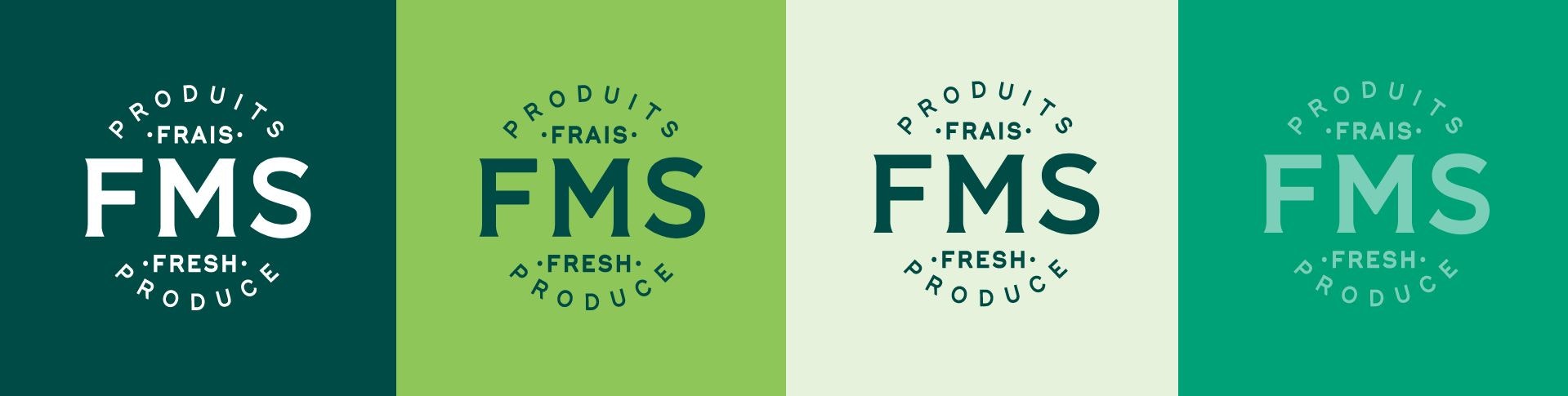 Fms logo colors