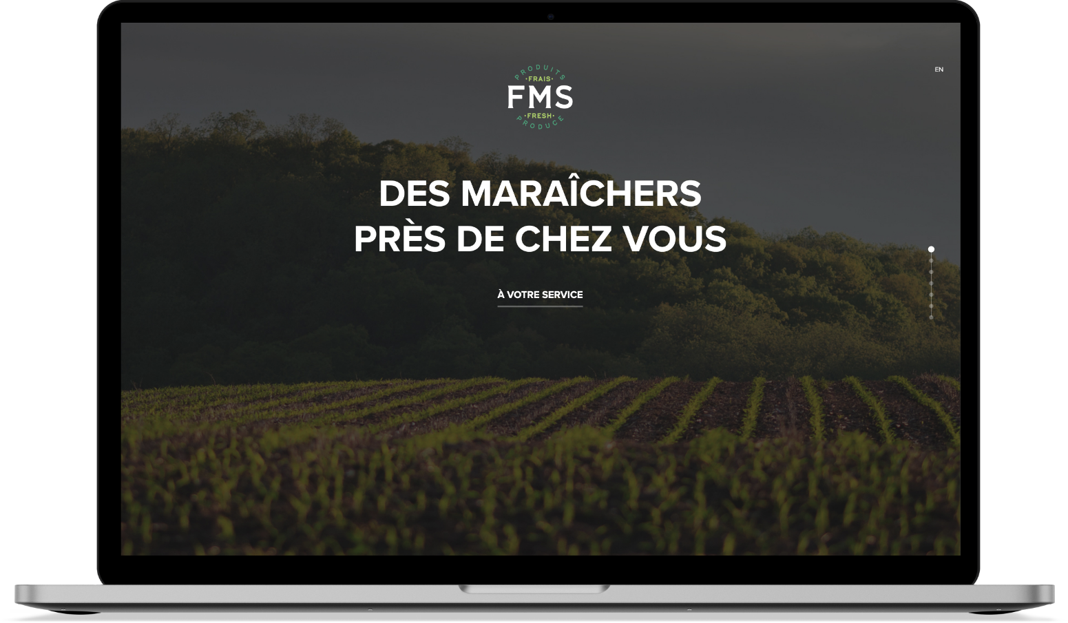 FMS laptop website