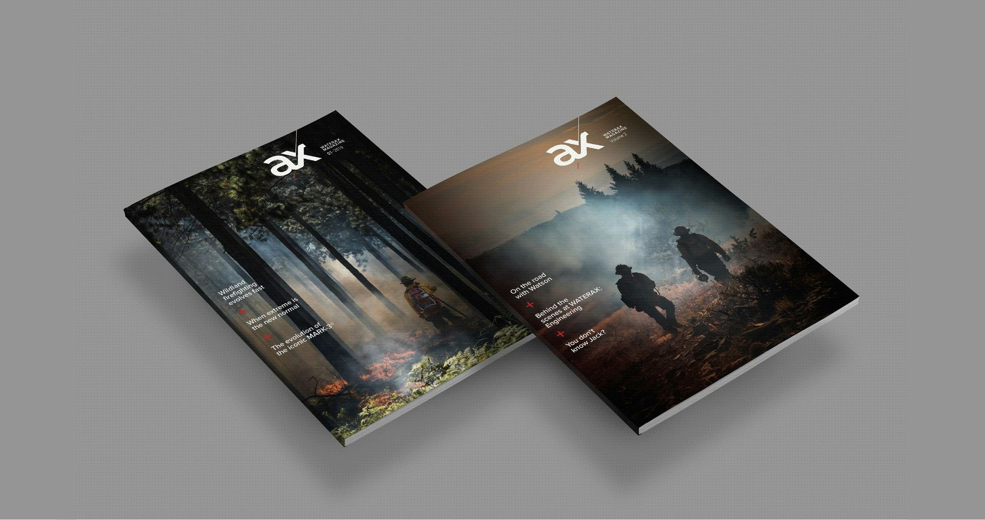 Ax magazines