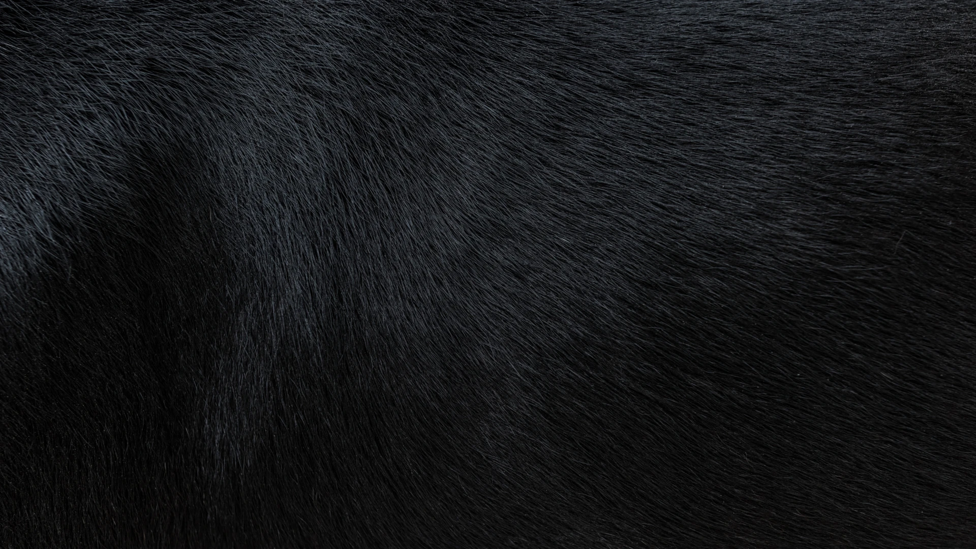 AMVQ textured background