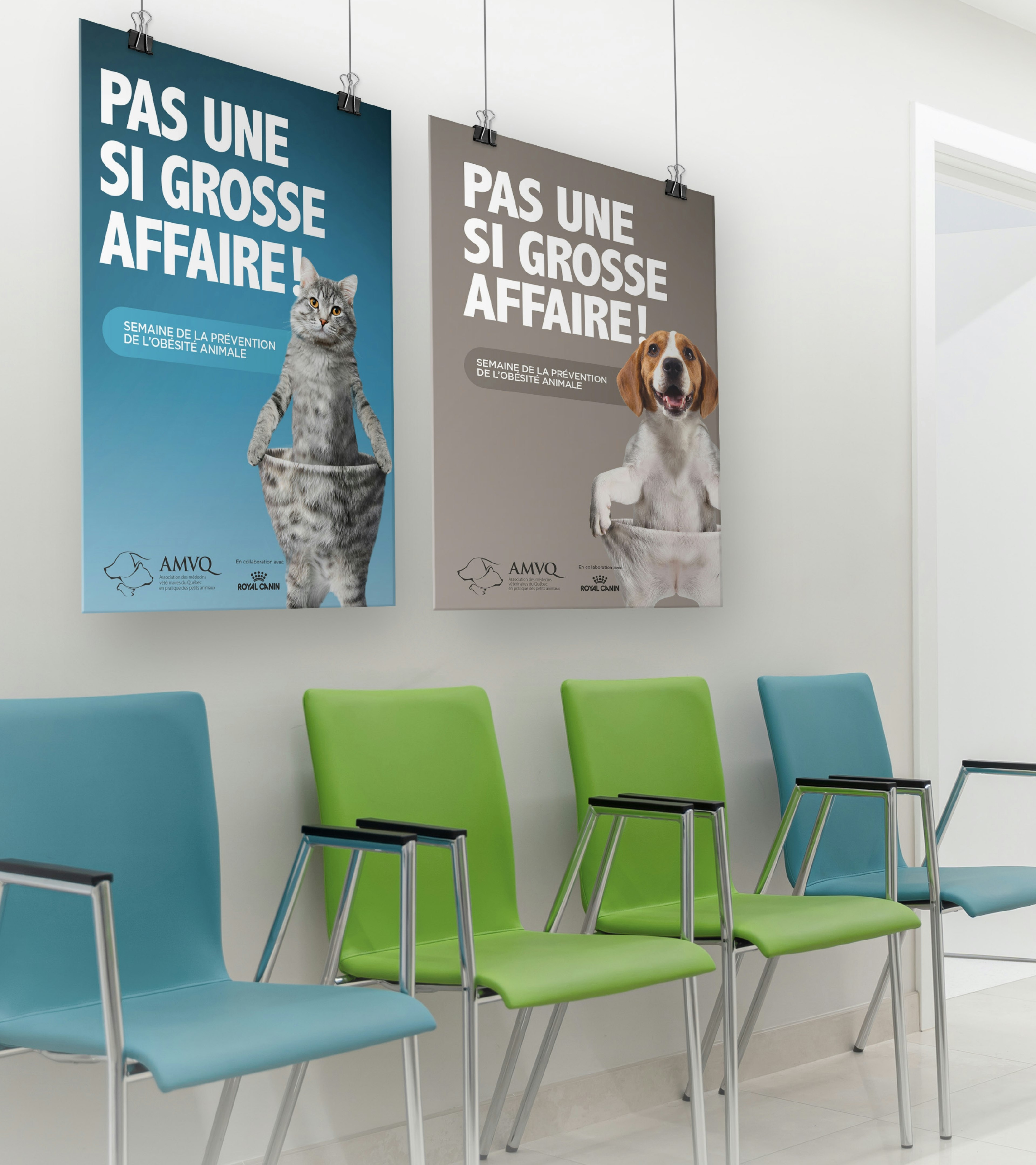 AMVQ posters in veterinary clinic