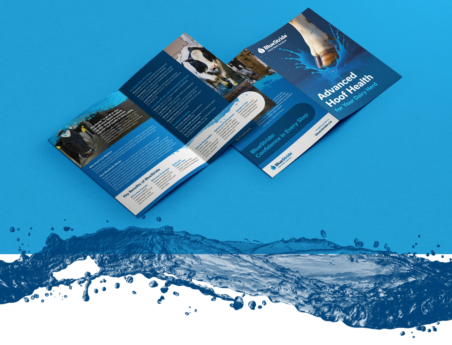 BlueStride brochure