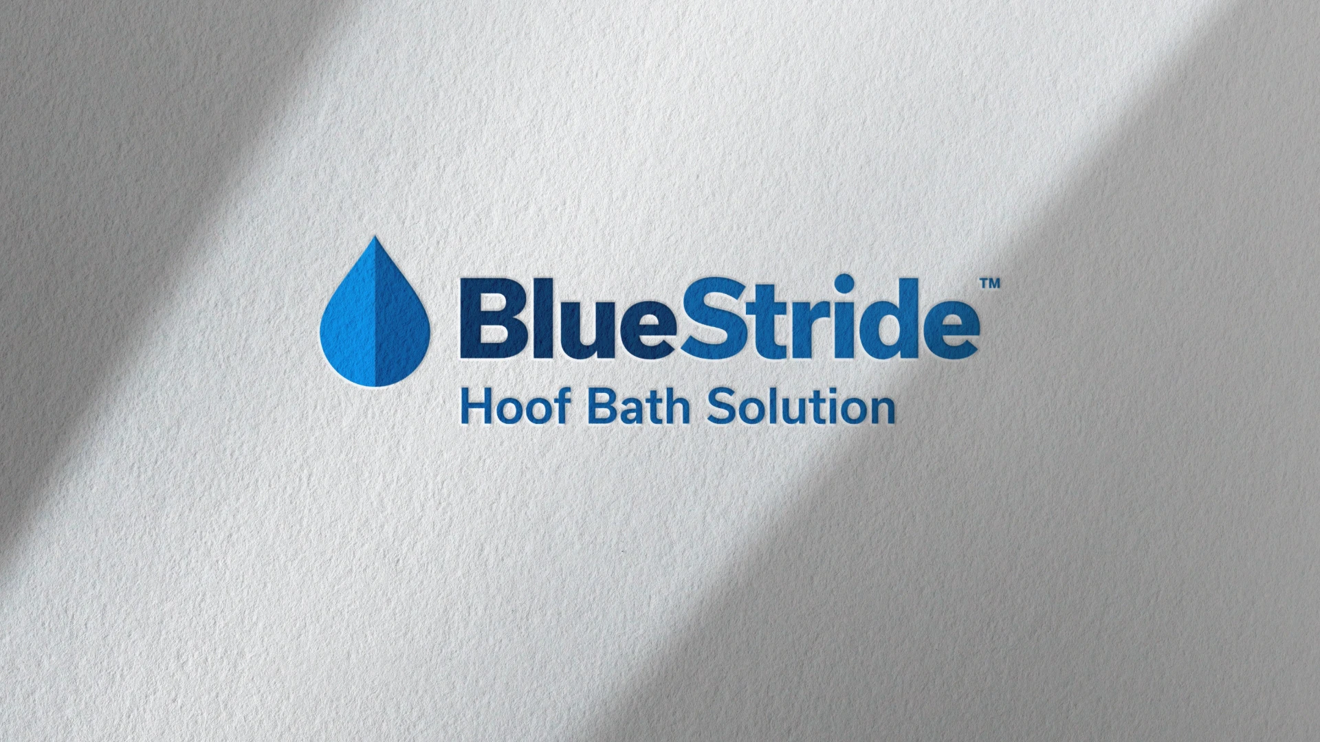 BlueStride Brand Footer