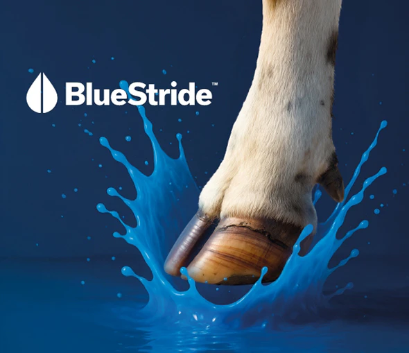 BlueStride