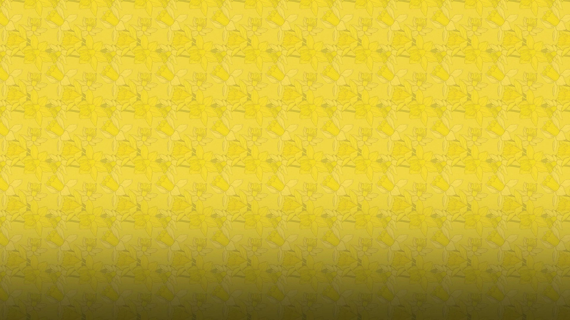 Canadian Cancer Society Footer