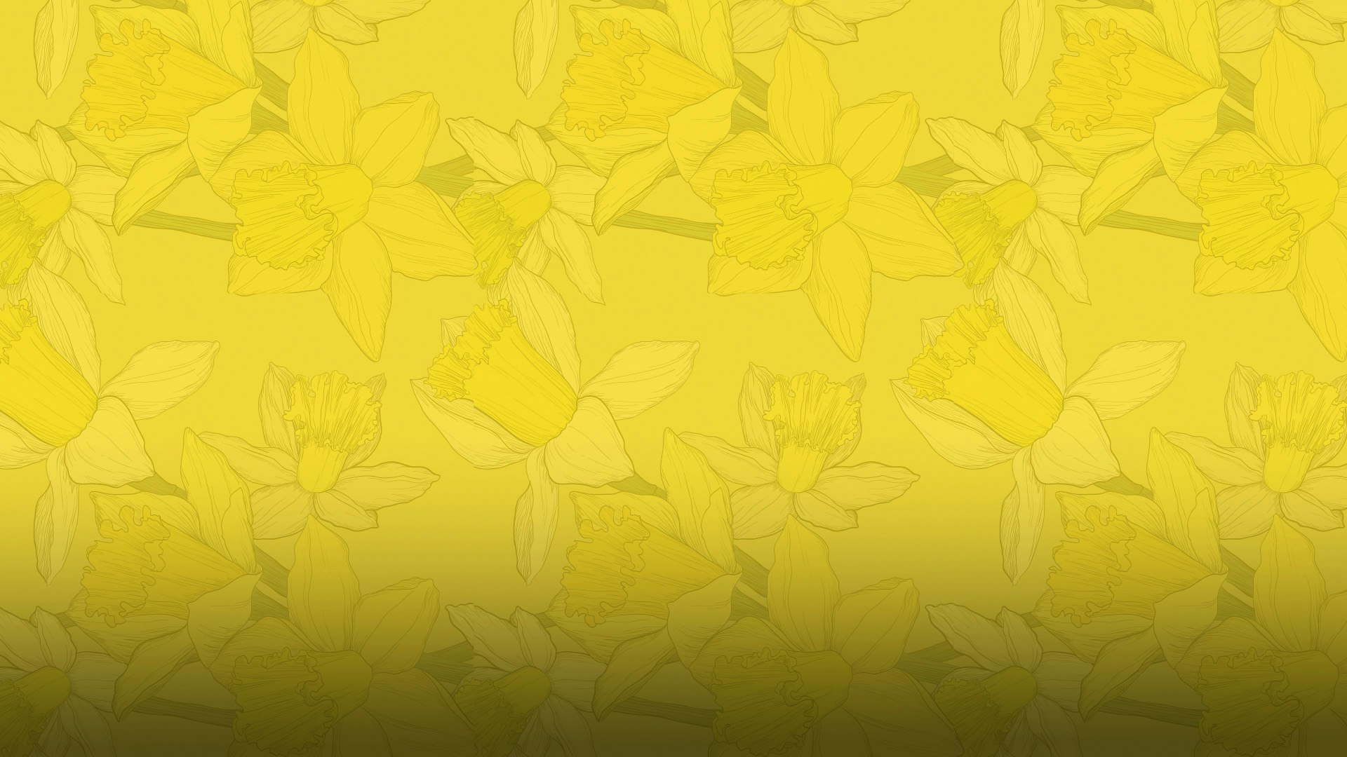 Canadian Cancer Society daffodil background