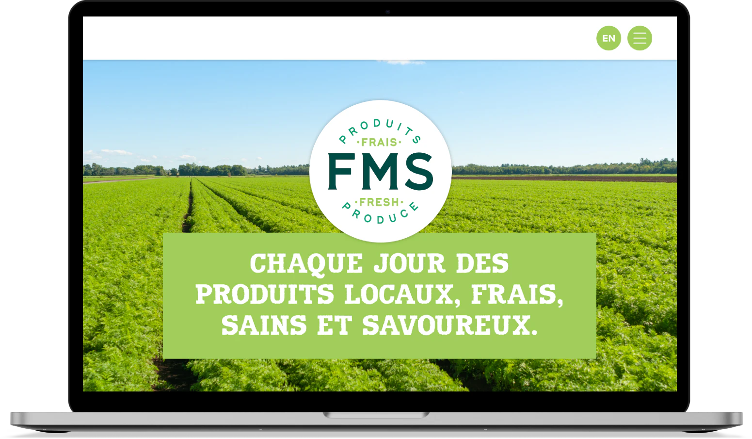 FMS laptop website