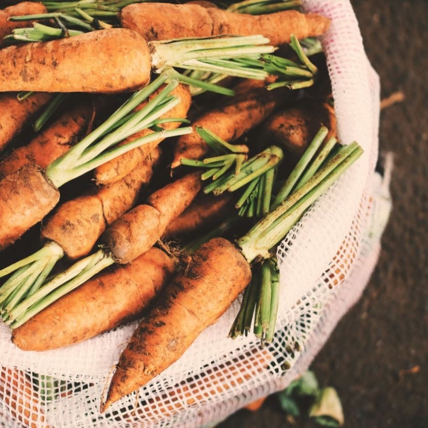 Mère poule agriculture carrots